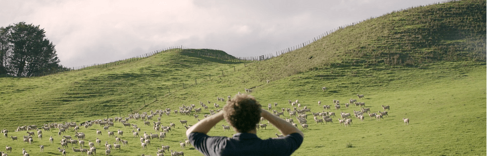 Rear view shot of a man looking out at his sheep in a New Zealand farm