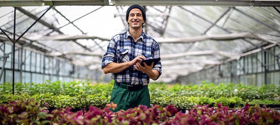 Male garden worker with digital tablet at greenhouse